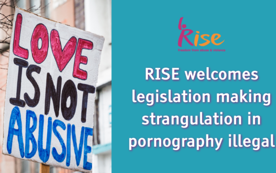 A composite image. On the left a photograph shows a handmade placard reading love is not abusive. On the right a turquoise background sits behind white which reads rise welcome legislation making strangulation and pornography illegal.