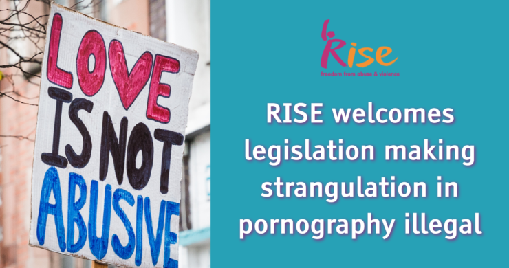 A composite image. On the left a photograph shows a handmade placard reading love is not abusive. On the right a turquoise background sits behind white which reads rise welcome legislation making strangulation and pornography illegal.