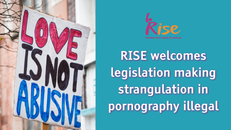 A composite image. On the left a photograph shows a handmade placard reading love is not abusive. On the right a turquoise background sits behind white which reads rise welcome legislation making strangulation and pornography illegal.