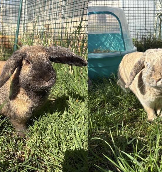 Agatha Christie & Emily Bronte