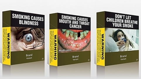 tobacco plants benefits Tobacco as an All Natural Pesticide. Tobacco Tea & Tobacco Dust