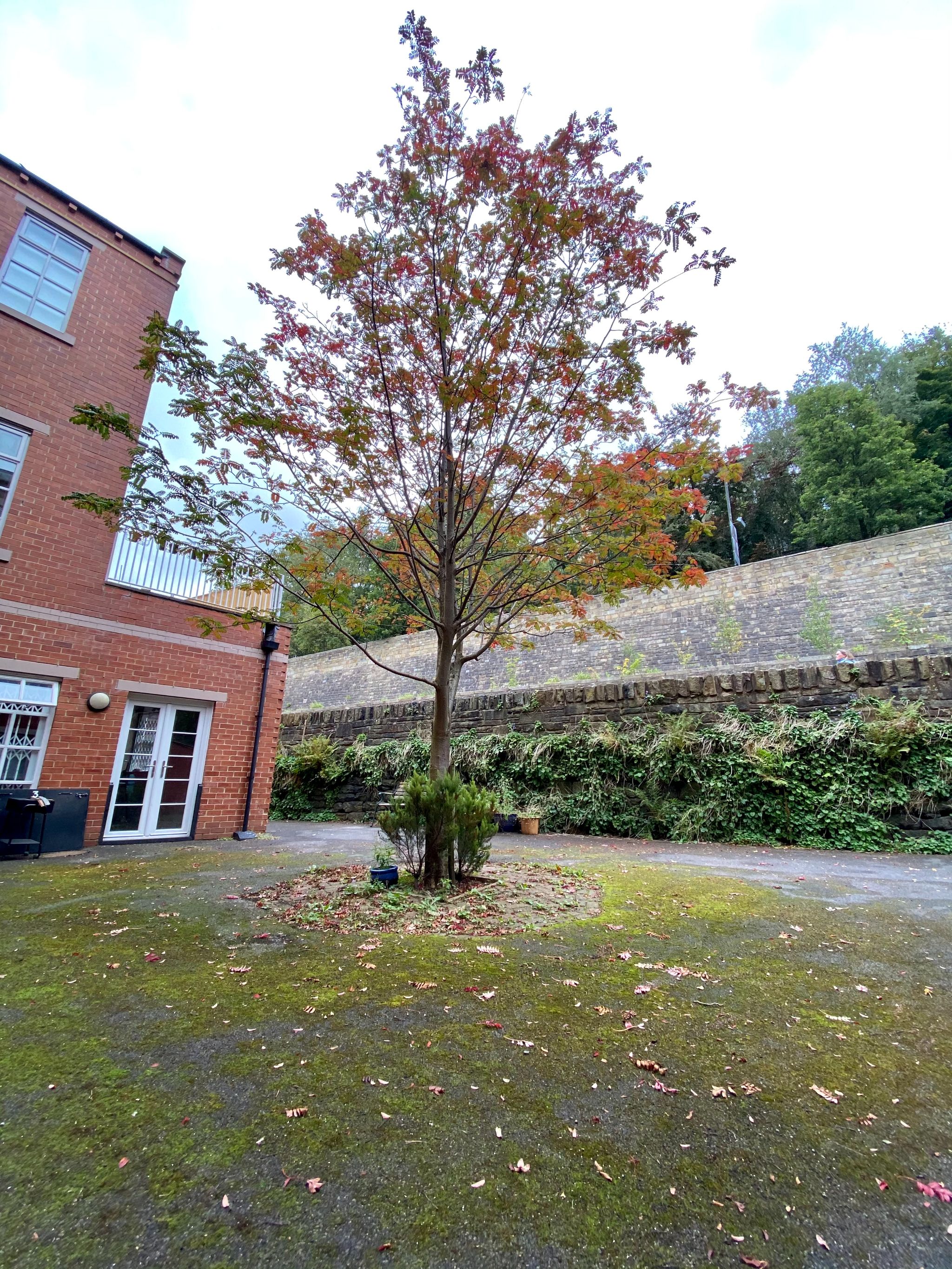 2 bedroom apartment flat/apartment Let Agreed in Hebden Bridge - Photograph 8