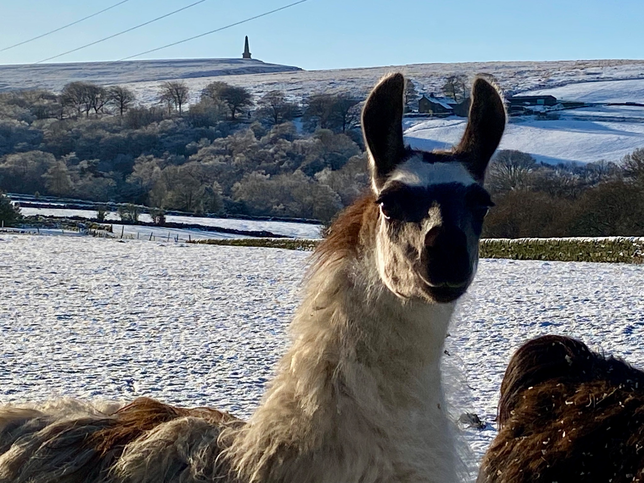 2 bedroom semi-detached house To Let in Hebden Bridge - Photograph 22.