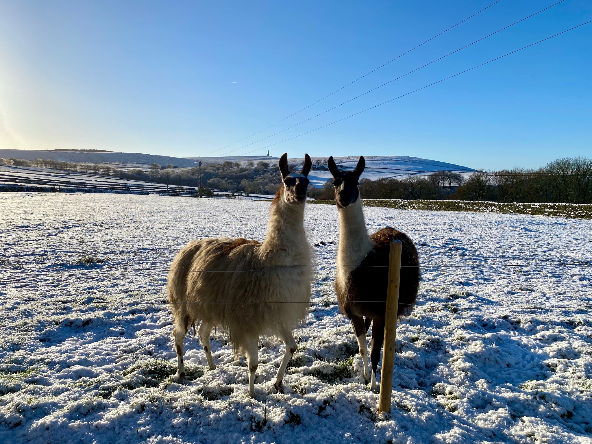 2 bedroom semi-detached house To Let in Hebden Bridge - Photograph 25.