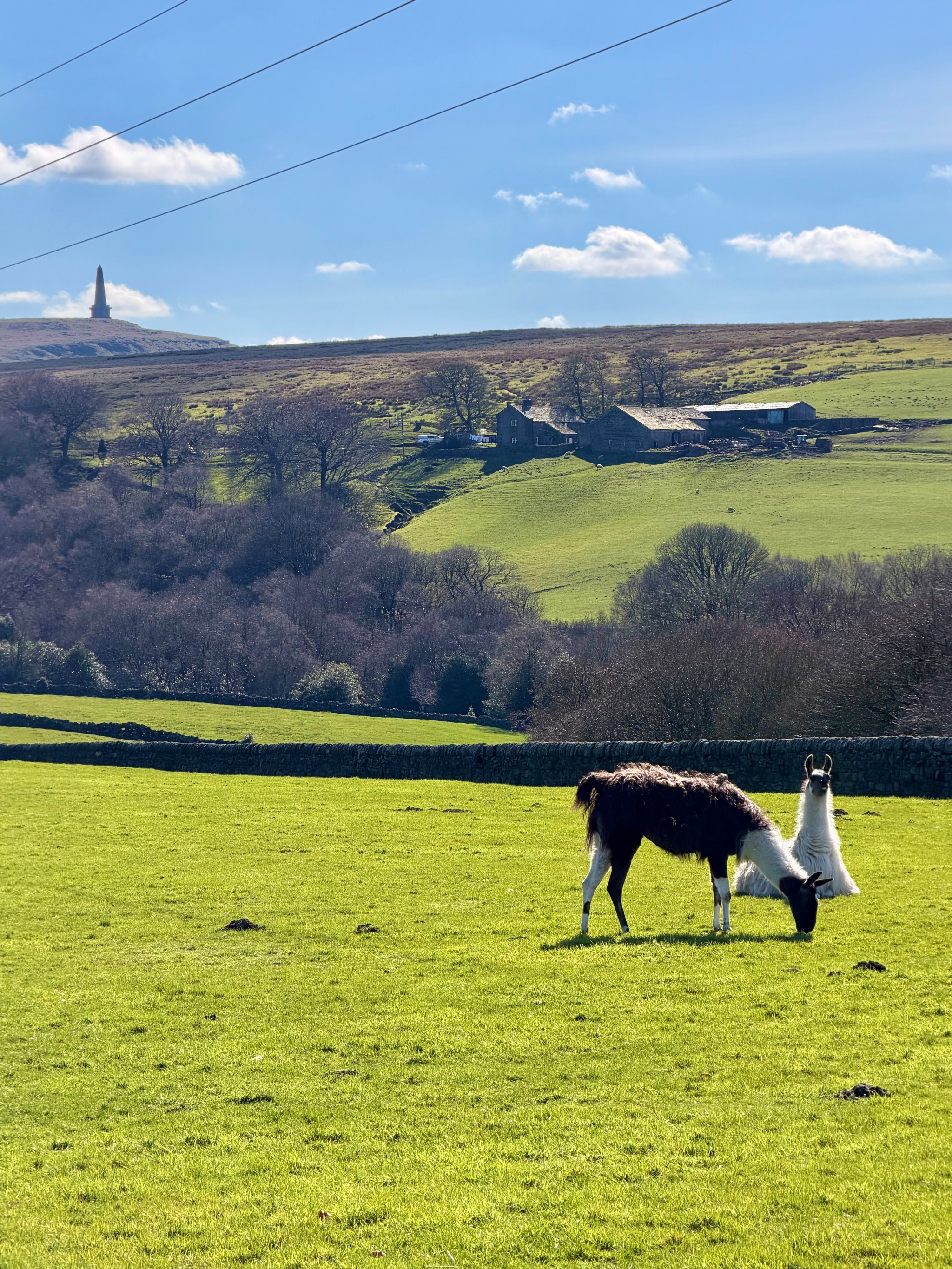 2 bedroom semi-detached house To Let in Hebden Bridge - Photograph 34.