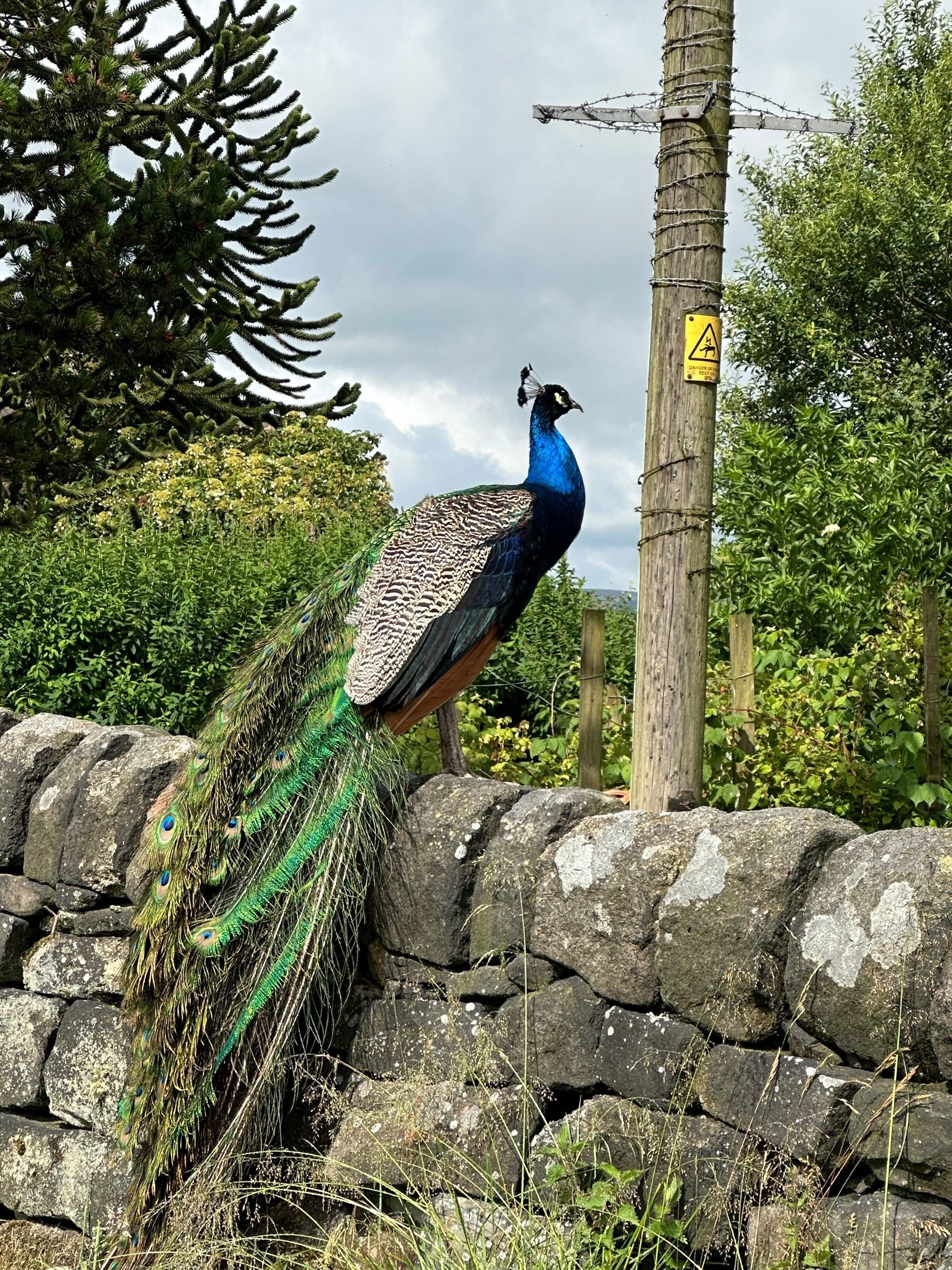 4 bedroom farm house For Sale in Hebden Bridge - Photograph 65.