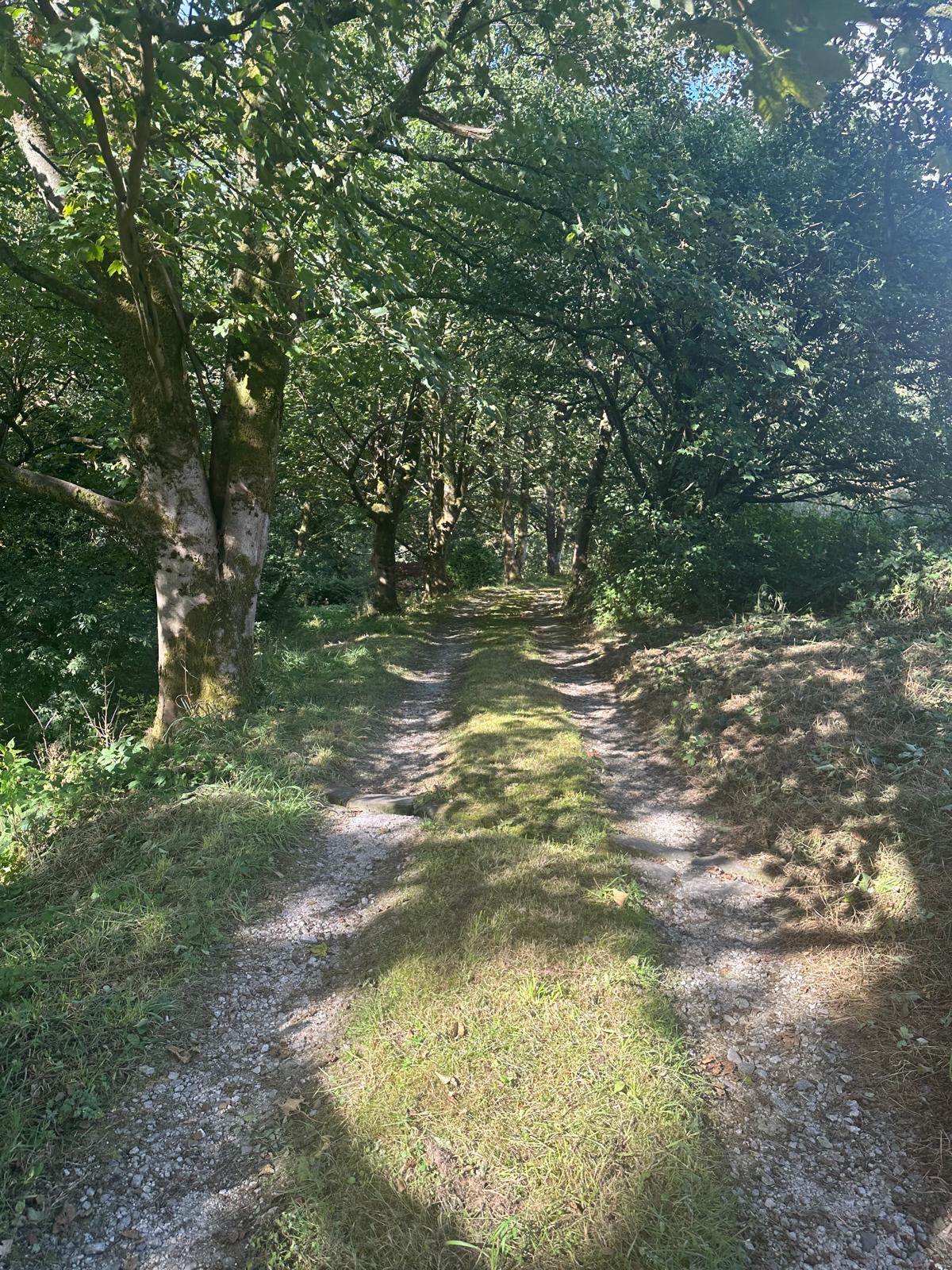 3 bedroom detached house For Sale in Todmorden - Photograph 4.