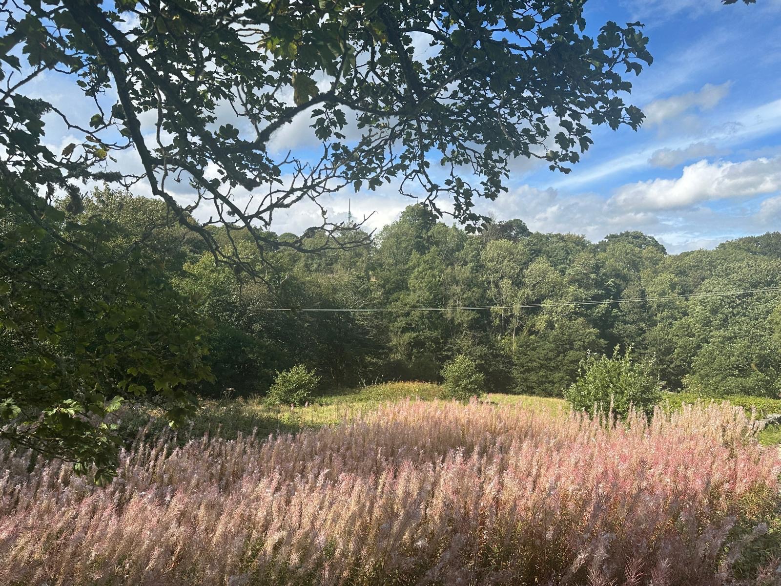 3 bedroom detached house For Sale in Todmorden - Photograph 7.