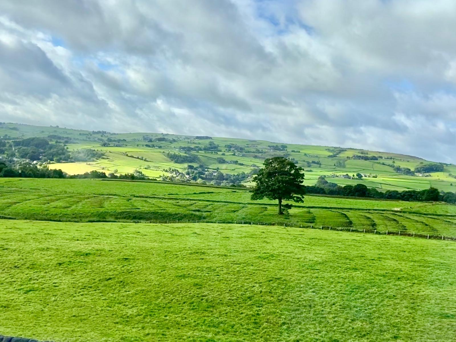3 bedroom end terraced house For Sale in Halifax - Photograph 28.