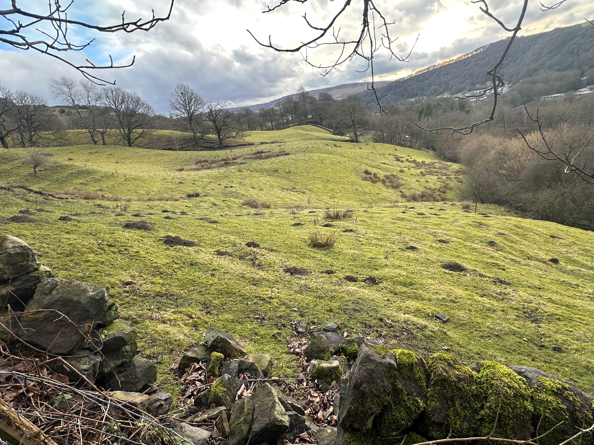 4 bedroom detached house For Sale in Todmorden - Photograph 44.