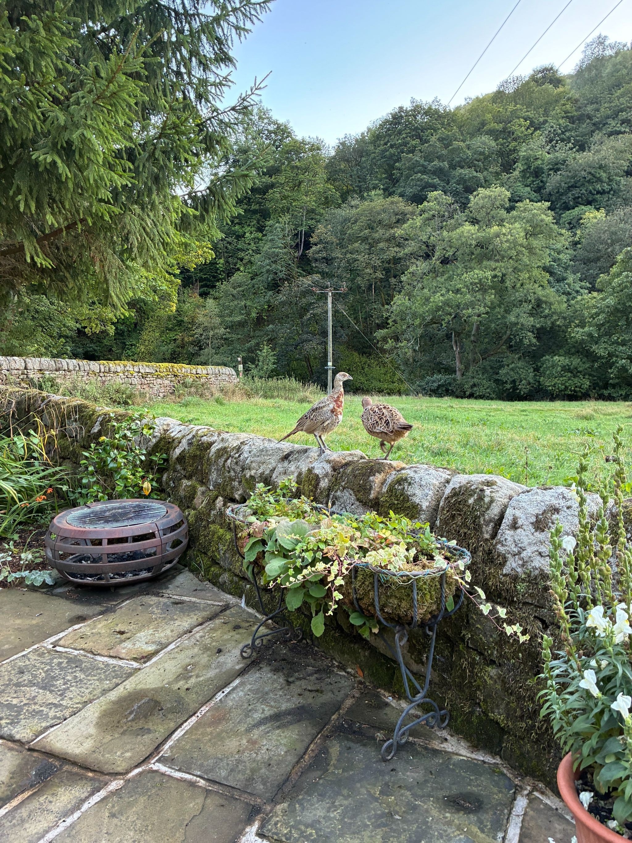 4 bedroom detached house For Sale in Hebden Bridge - Photograph 35.