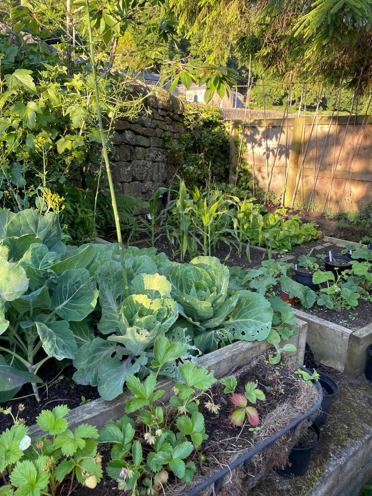 4 bedroom detached house For Sale in Hebden Bridge - Photograph 31.