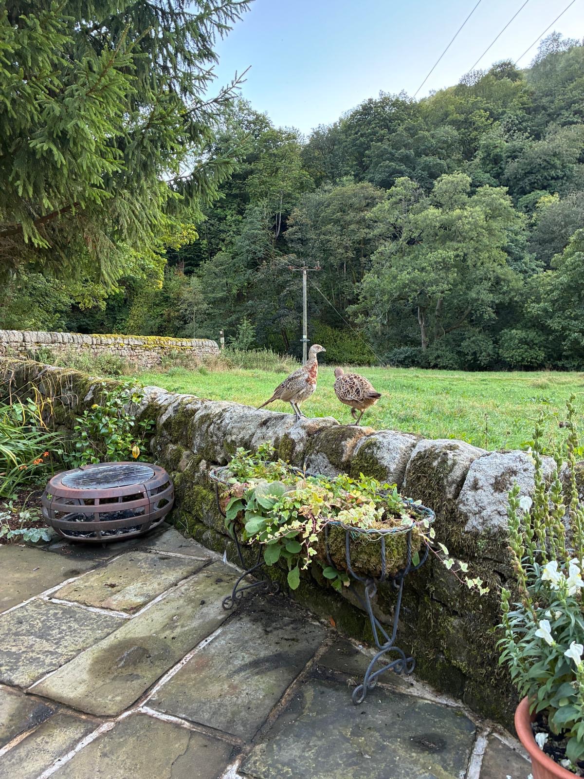 4 bedroom detached house For Sale in Hebden Bridge - Photograph 24.