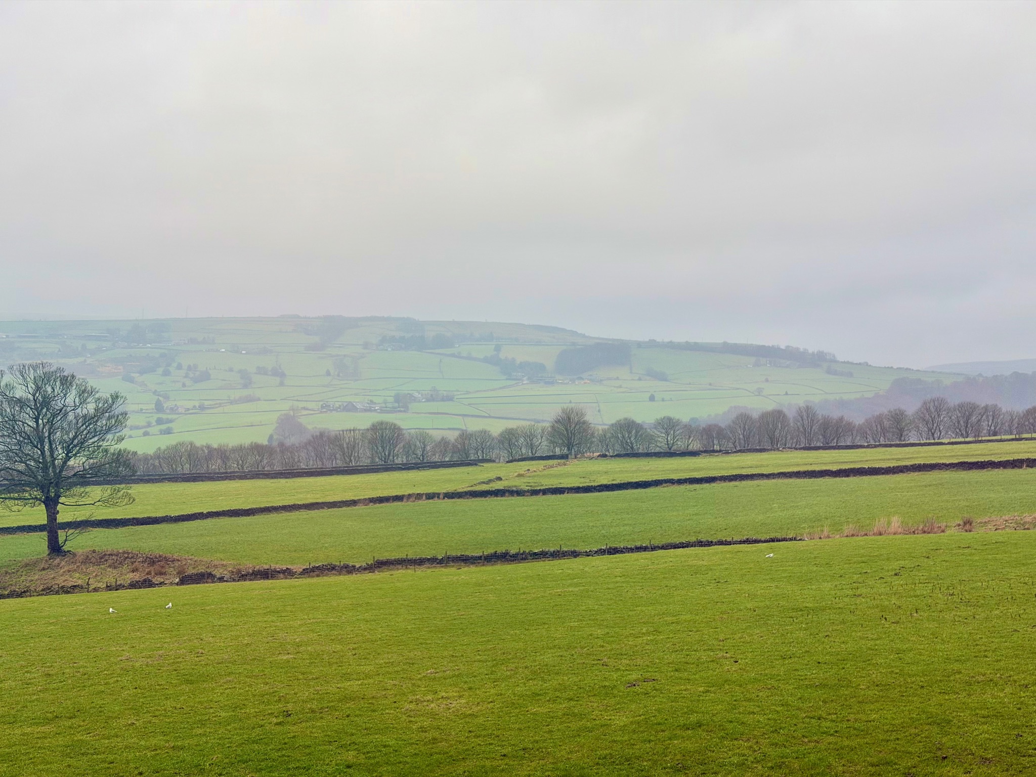 2 bedroom end terraced house To Let in Midgley - Photograph 18.