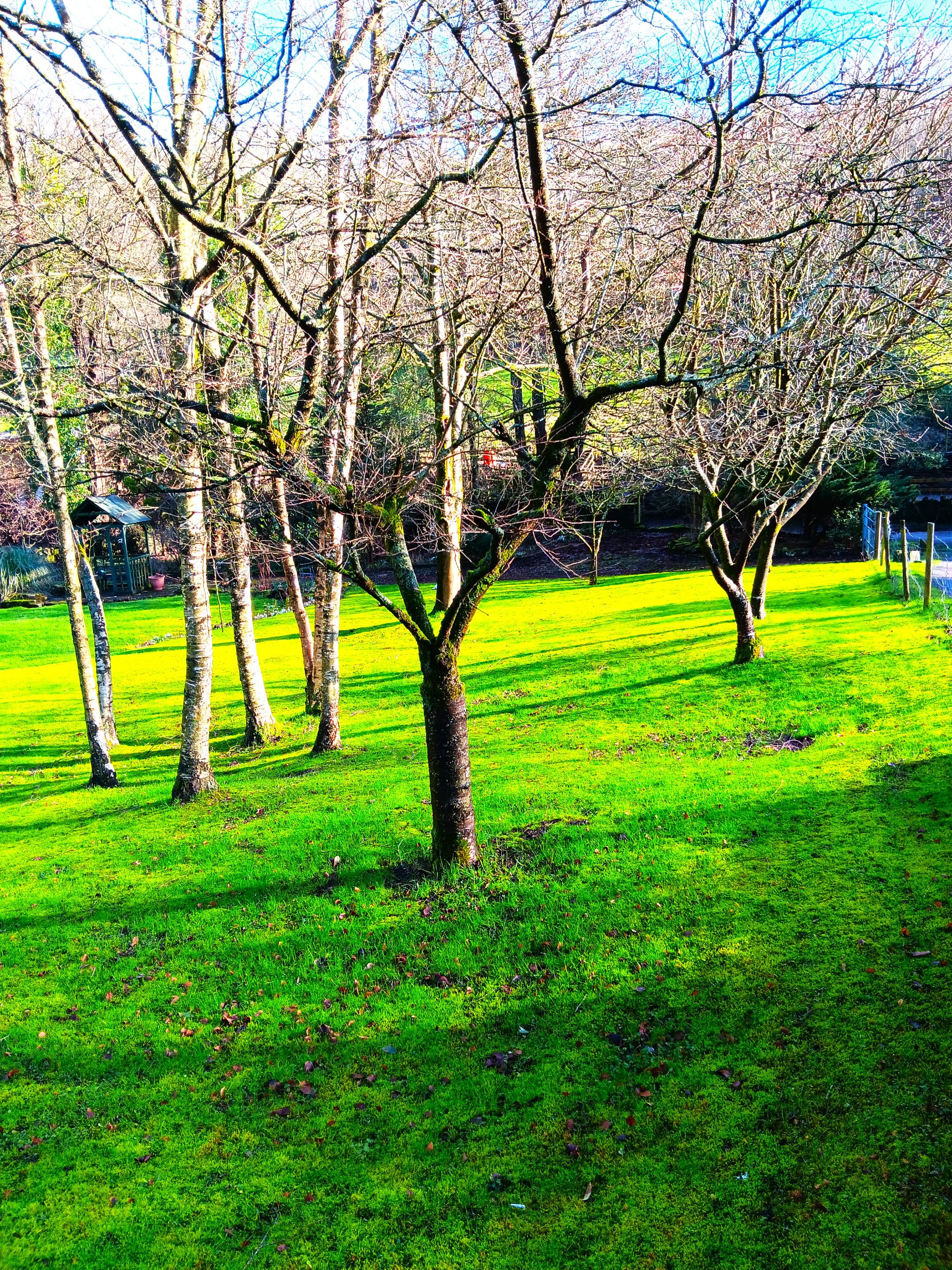 3 bedroom detached house For Sale in Halifax - Photograph 3.