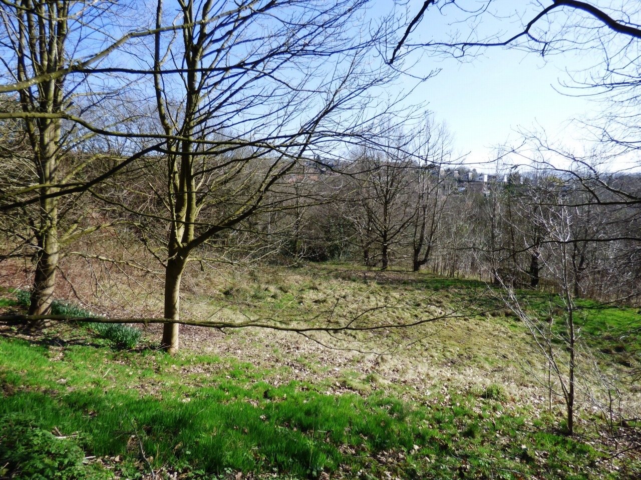Farm Land Land For Sale - Photograph 3