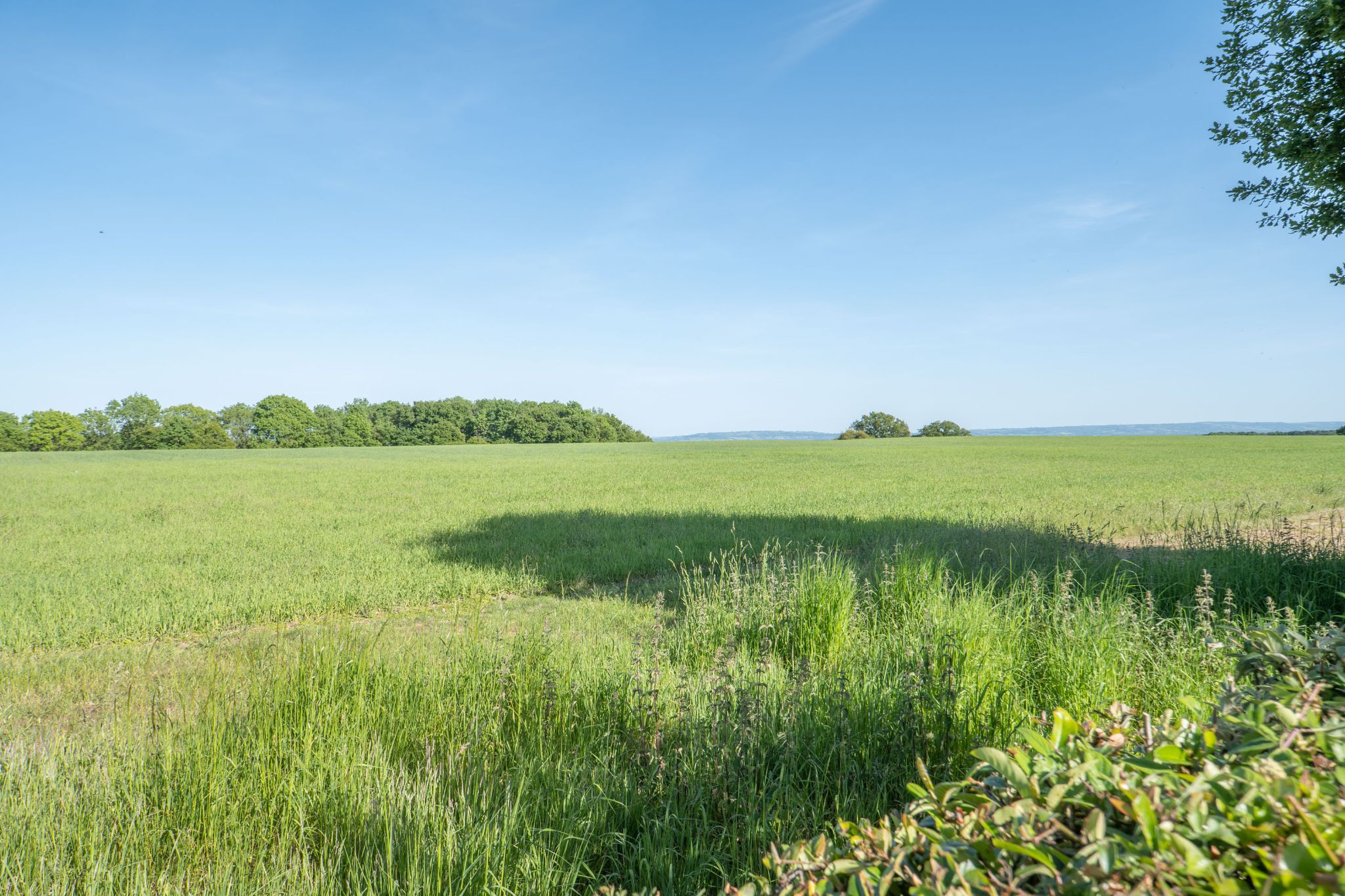 4 bedroom detached house For Sale in Cookhill, Alcester - Photograph 30