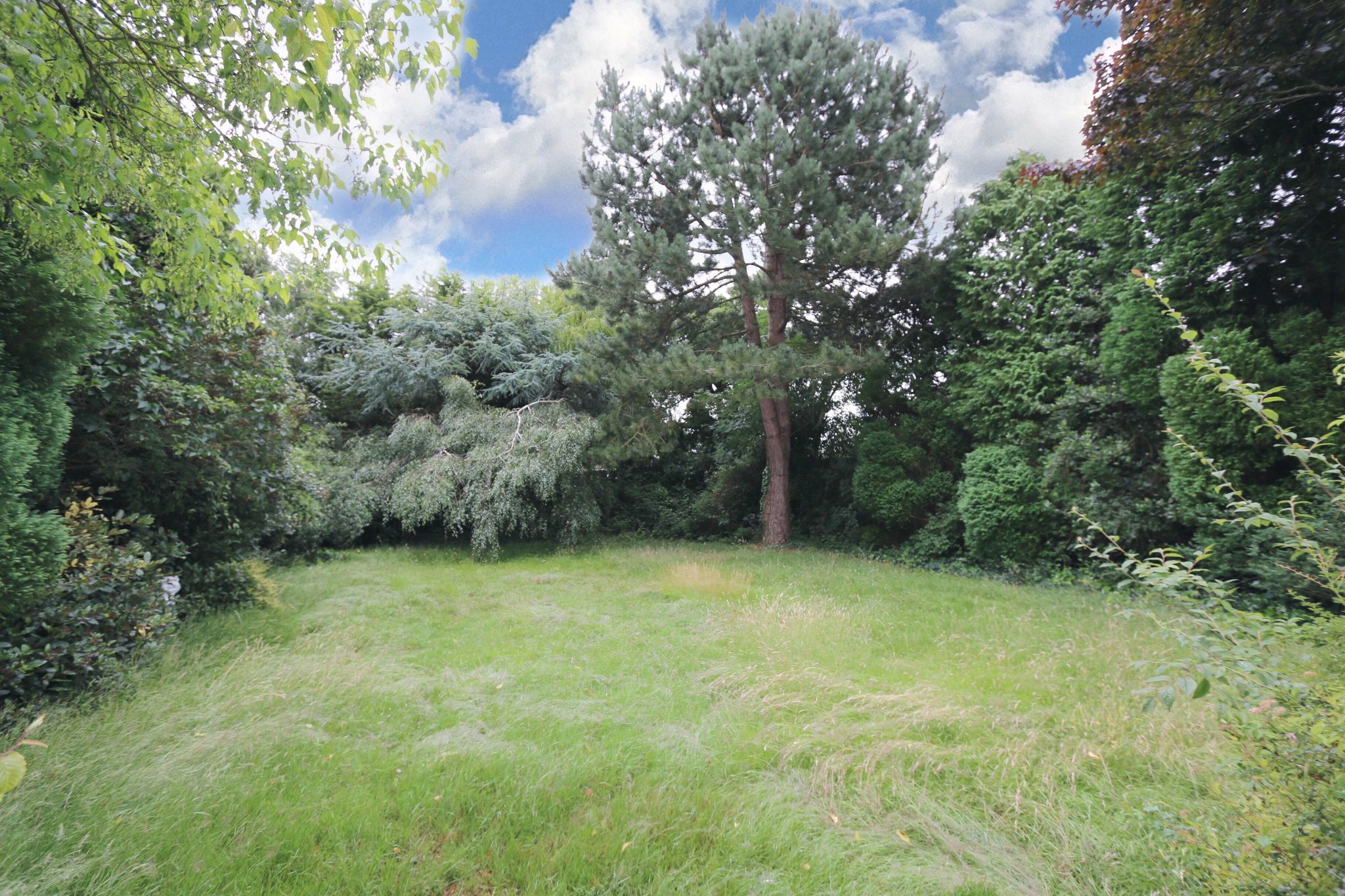 3 bedroom detached bungalow Reserved in Cookhill, Alcester - Photograph 4