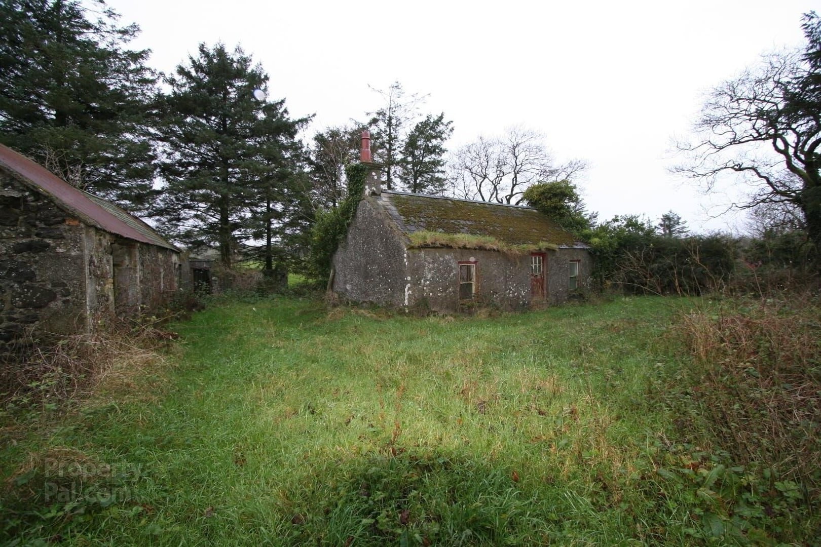 Plot Land For Sale in Ballymena - Photograph 6