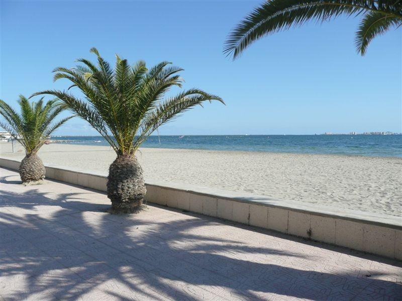 2 bedroom apartment flat/apartment Reserved in Murica - Photograph 10