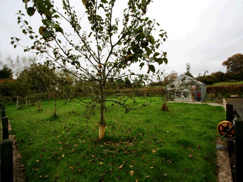 4 bedroom detached house SSTC in Randalstown - 0