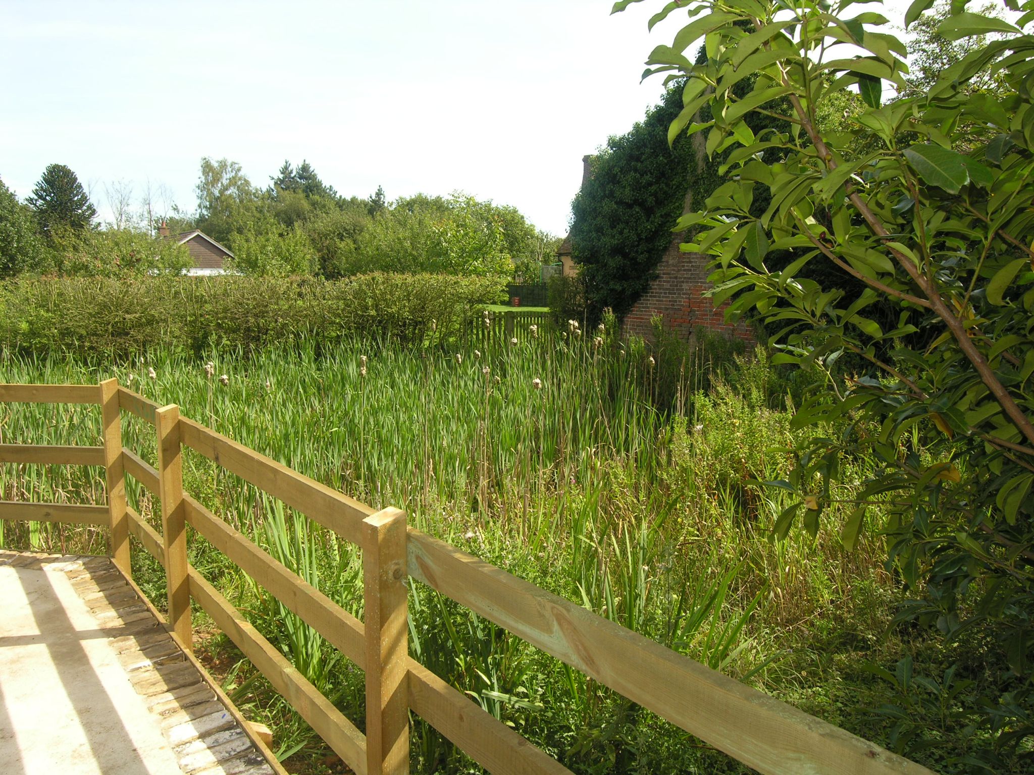 1 bedroom detached house To Let in Ipswich - Photograph 6