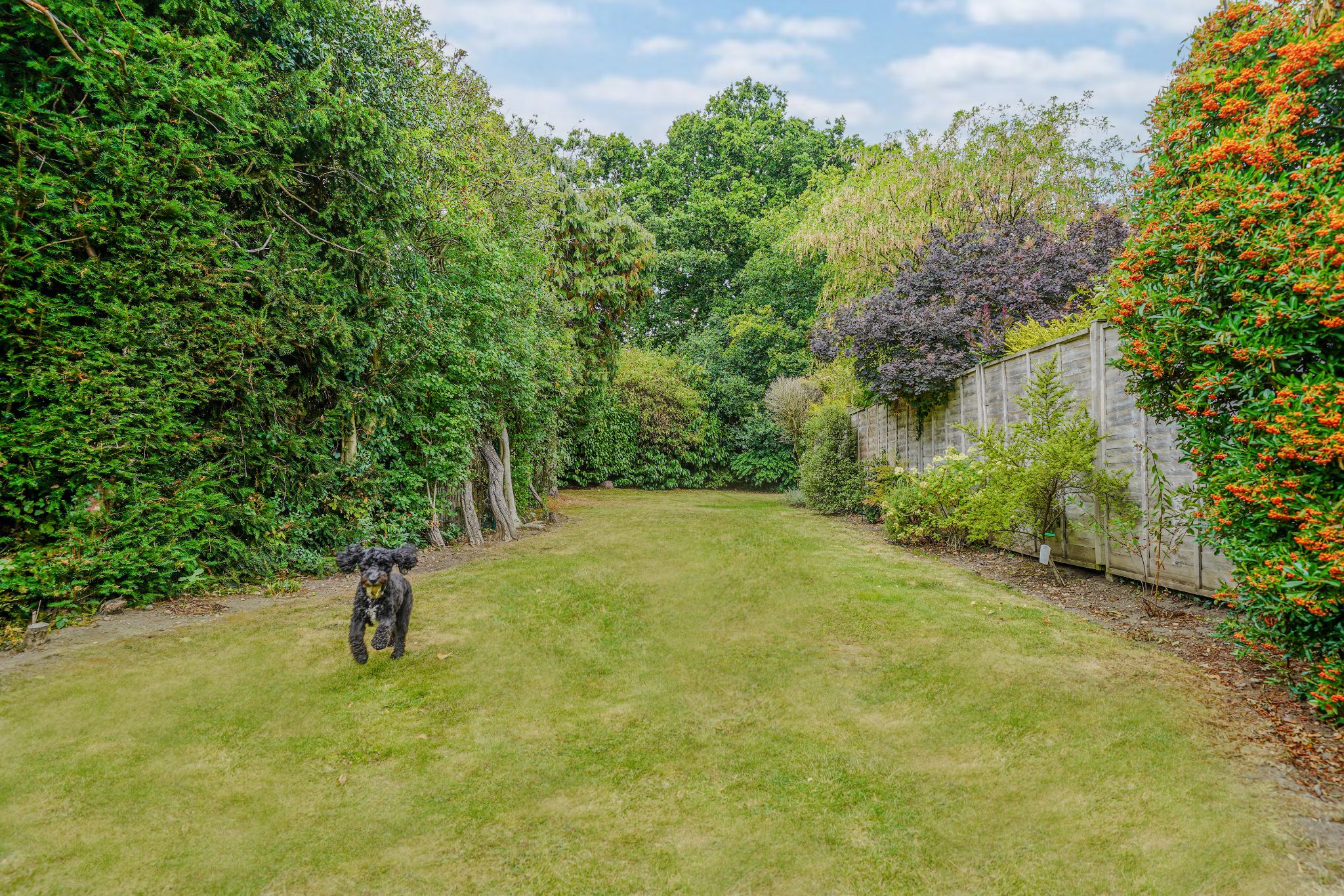 3 bedroom detached bungalow For Sale in Solihull - Photograph 19.