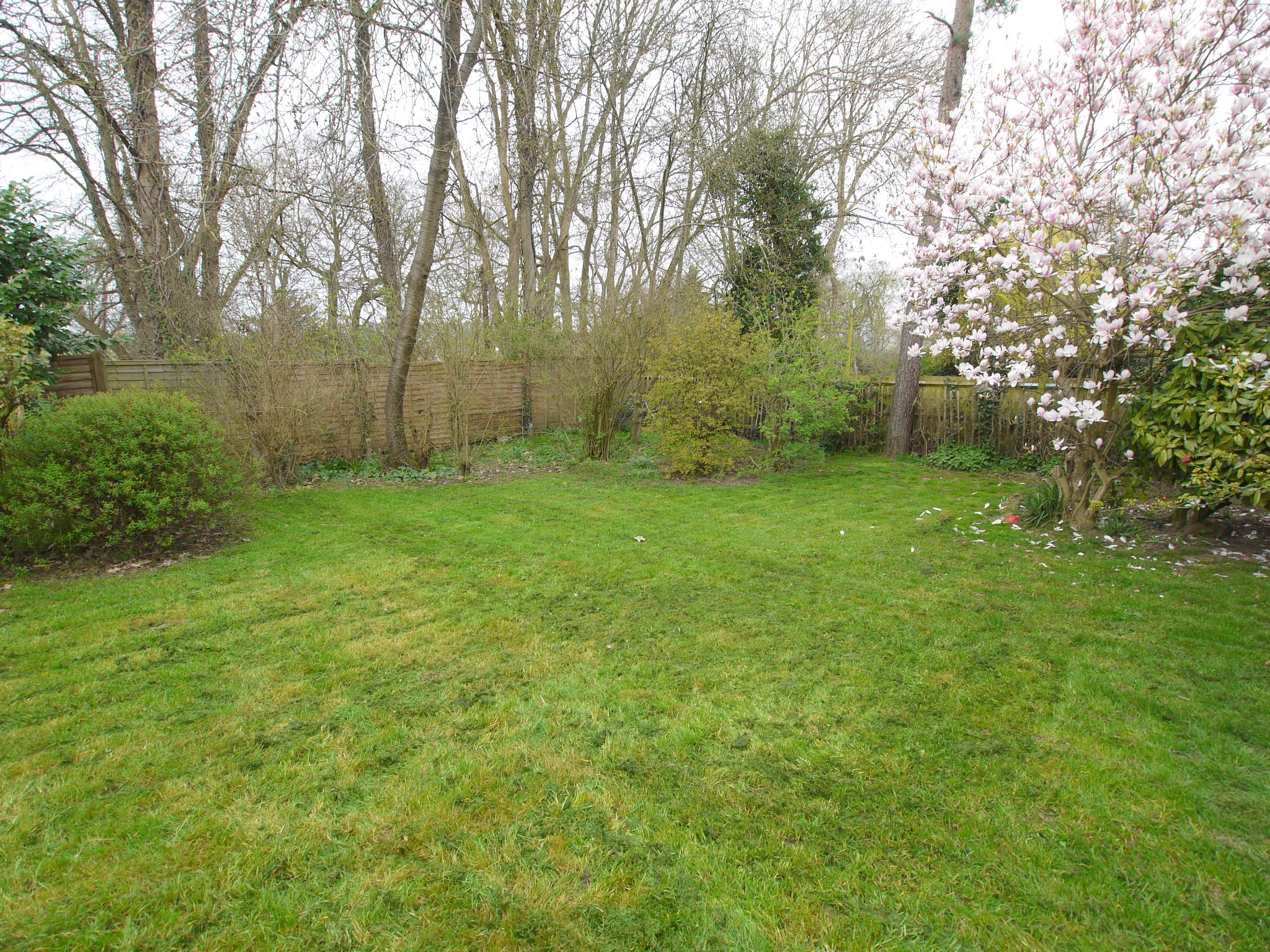 3 bedroom detached bungalow Sale Agreed in Sevenoaks - Photograph 11