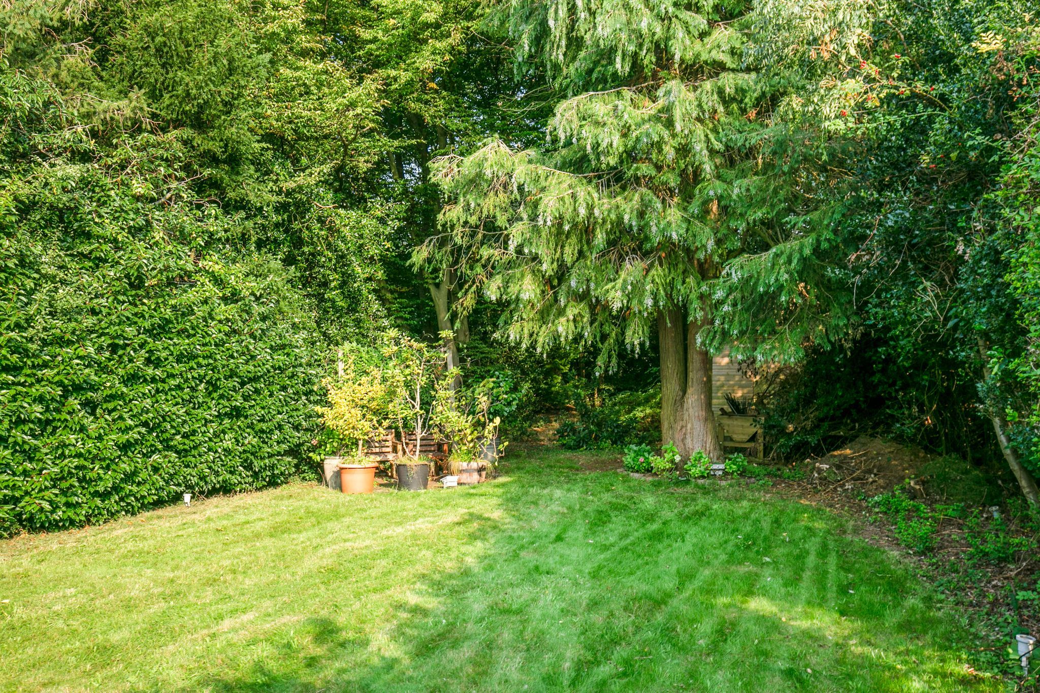 5 bedroom semi-detached house Sale Agreed in Hatfield - Photograph 18