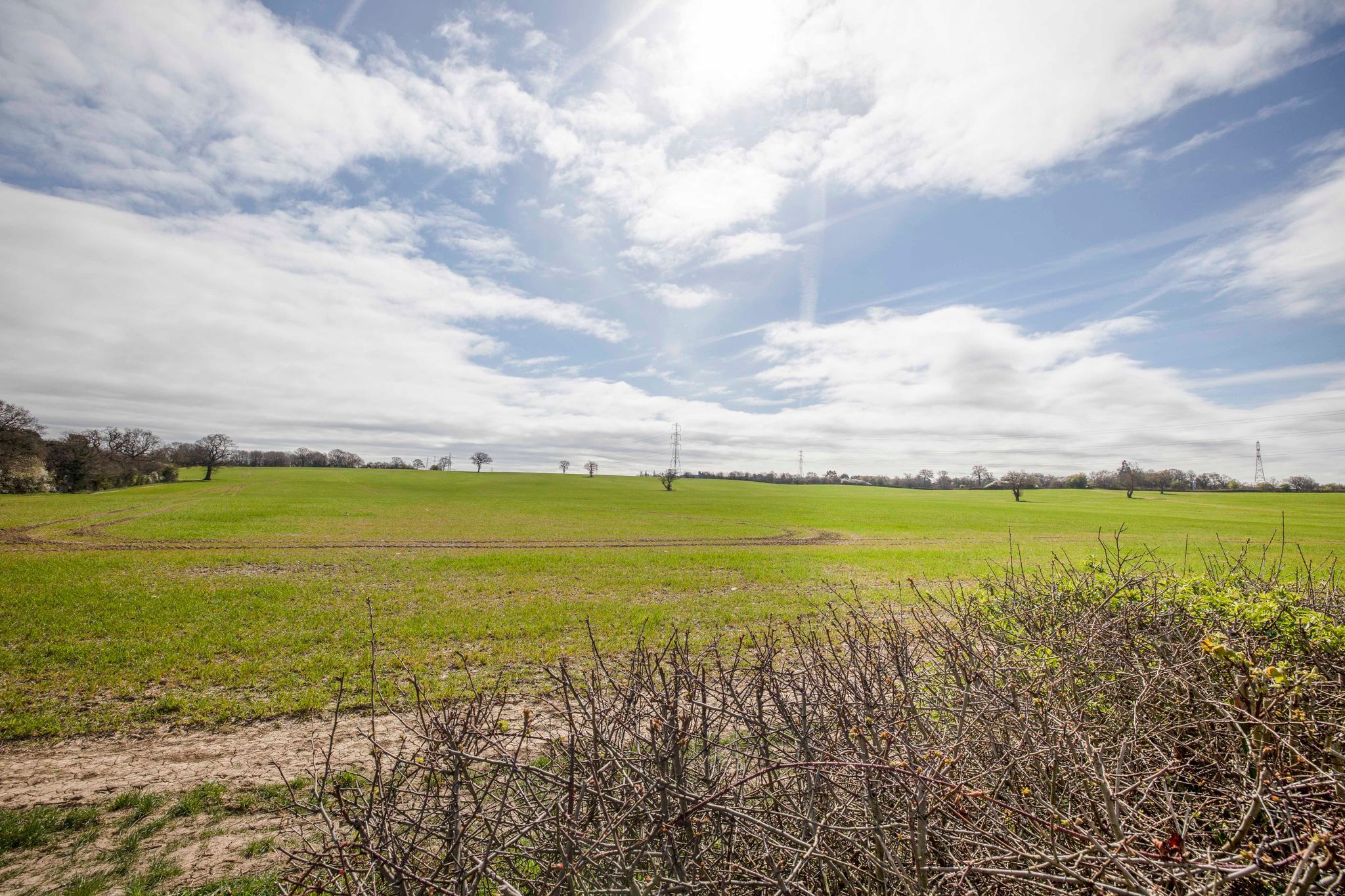3 bedroom semi-detached bungalow SSTC in Potters Bar - Photograph 6