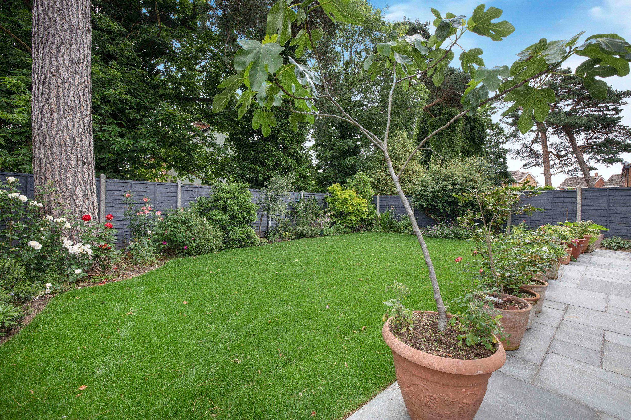 4 bedroom link detached house SSTC in Hatfield - Photograph 22