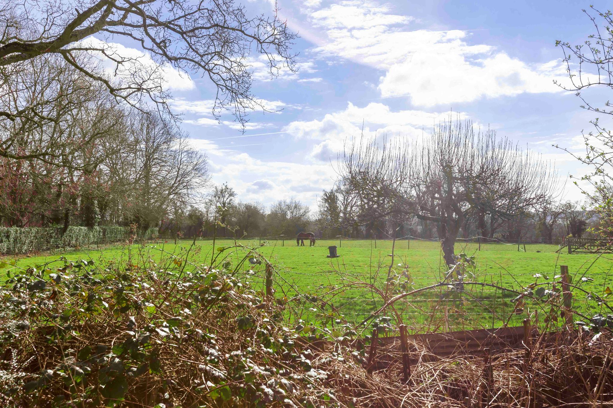 2 bedroom detached bungalow Sale Agreed in Hatfield - Photograph 2