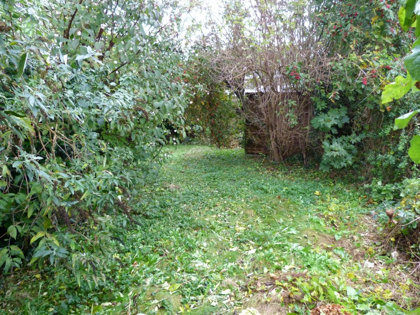 2 bedroom semi-detached bungalow For Sale in Broadstairs - Photograph 7