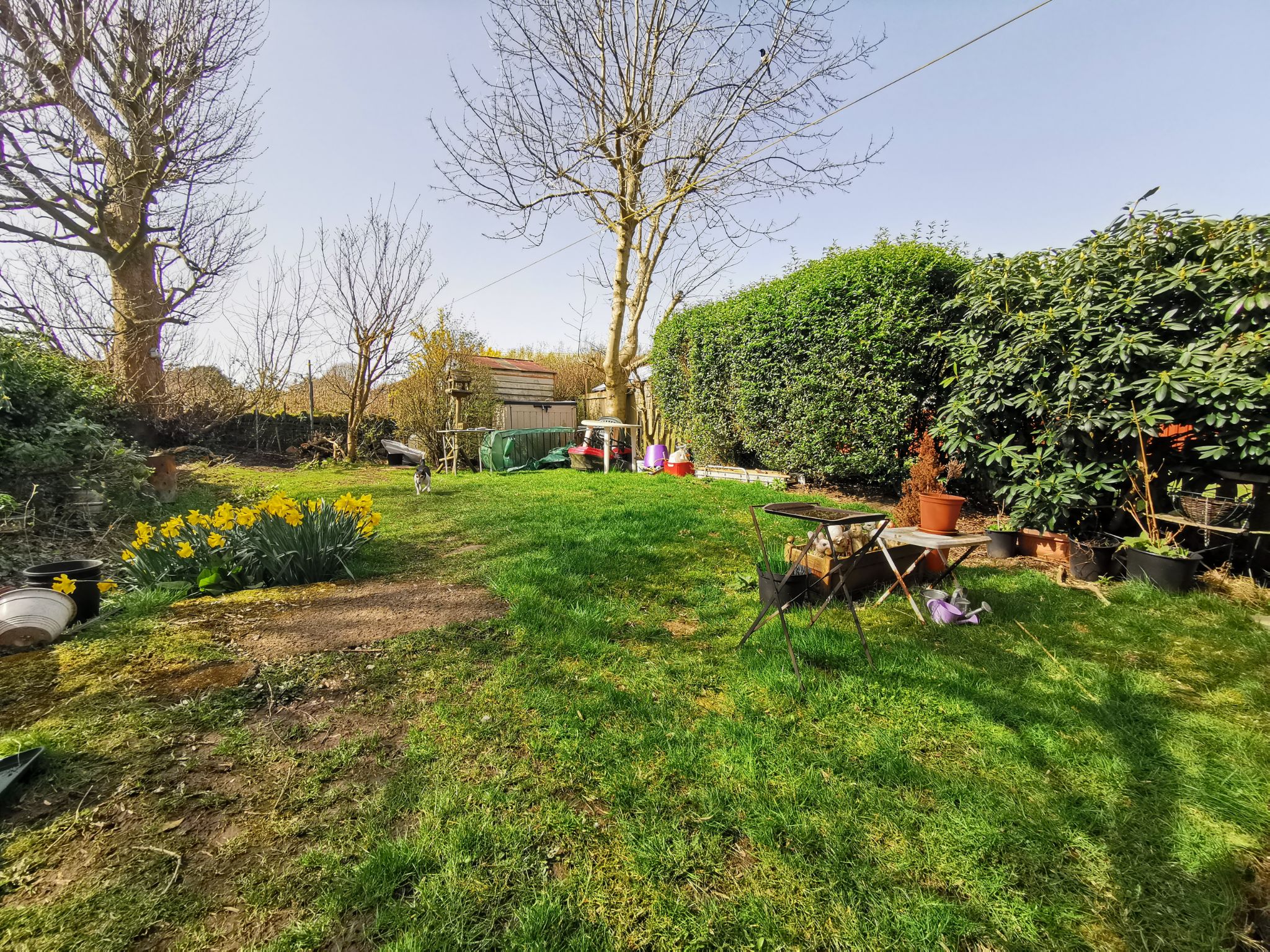 3 bedroom semi-detached house SSTC in Bradford - Rear Garden.