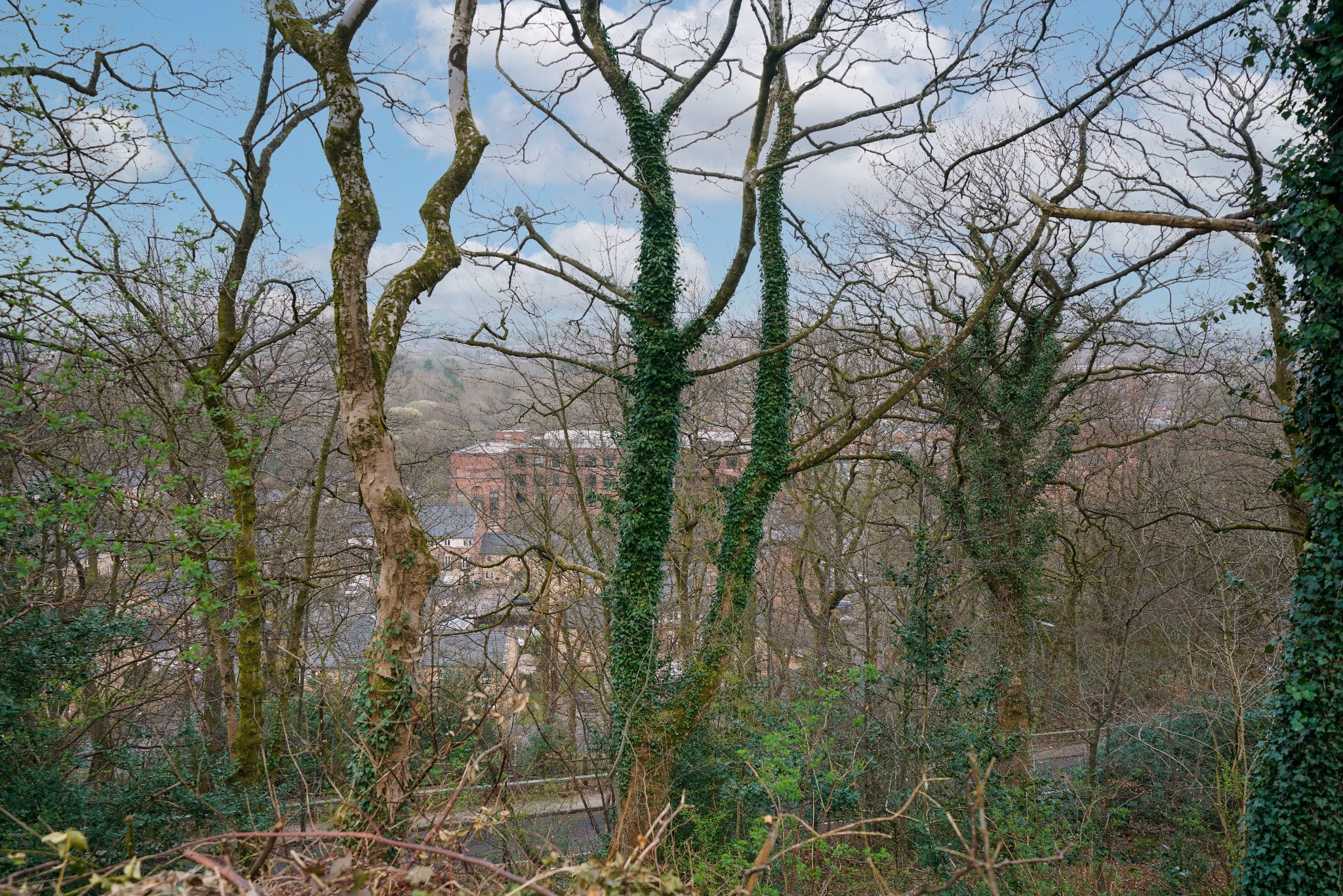 3 bedroom detached house For Sale in Bolton - Photograph 59.