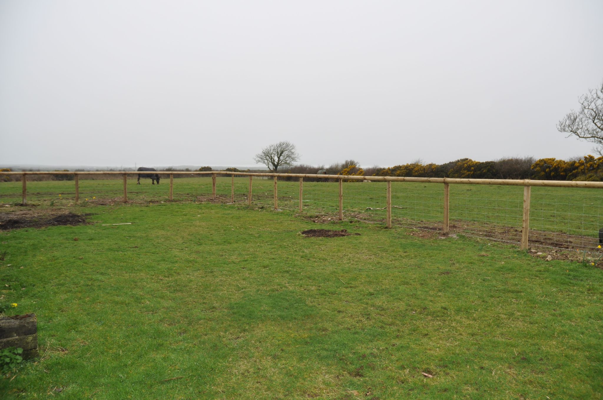 4 bedroom detached house Let in Holyhead - Rear Garden.