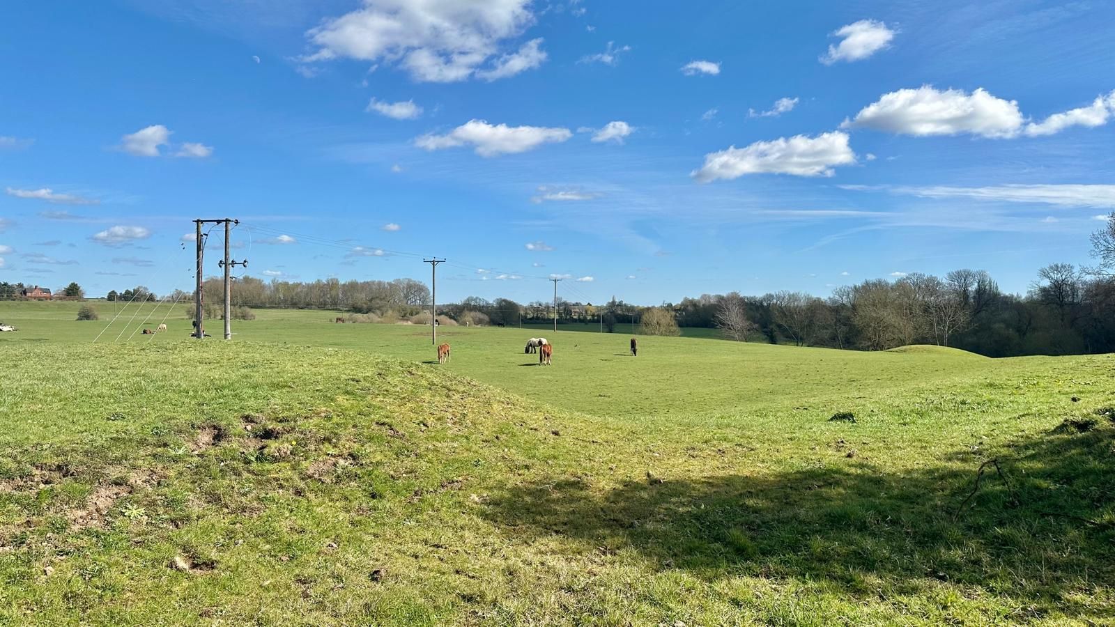 2 bedroom semi-detached bungalow To Let in Coventry - Fields.
