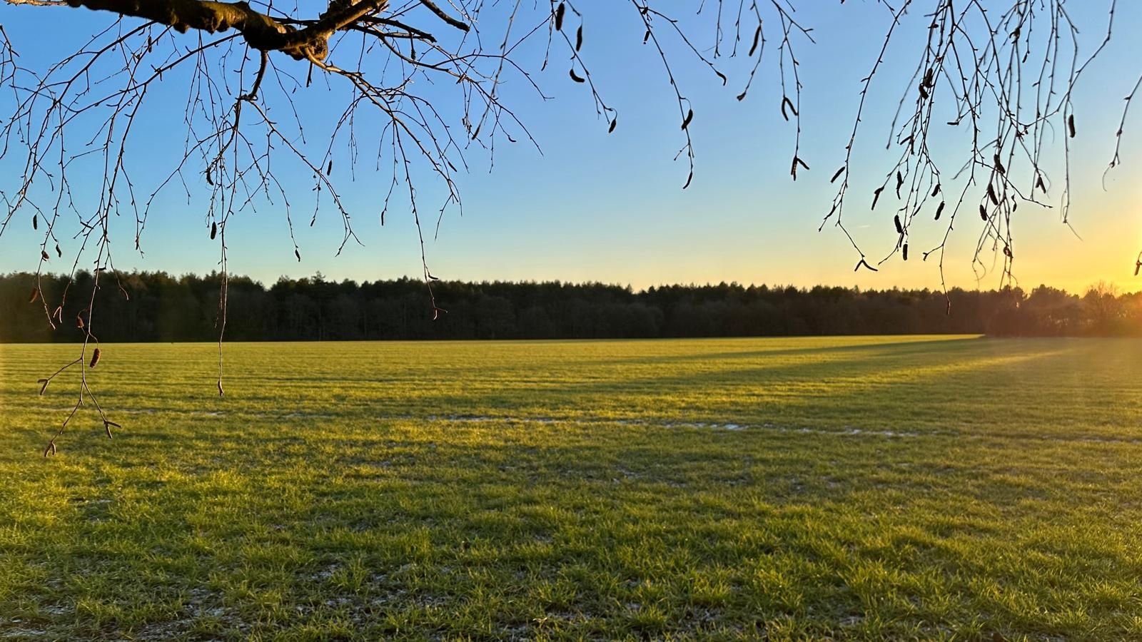 3 bedroom mid terraced house For Sale in Coventry - Photograph 23.