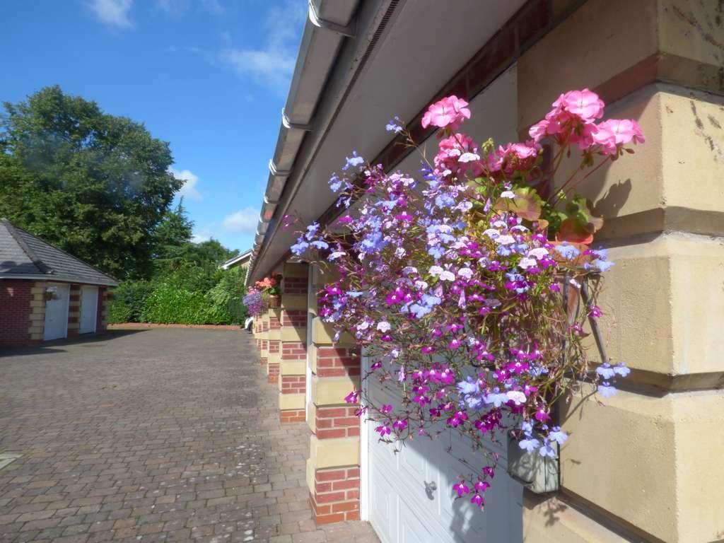 2 Bed Apartment Flat/apartment For Sale - Photograph 3