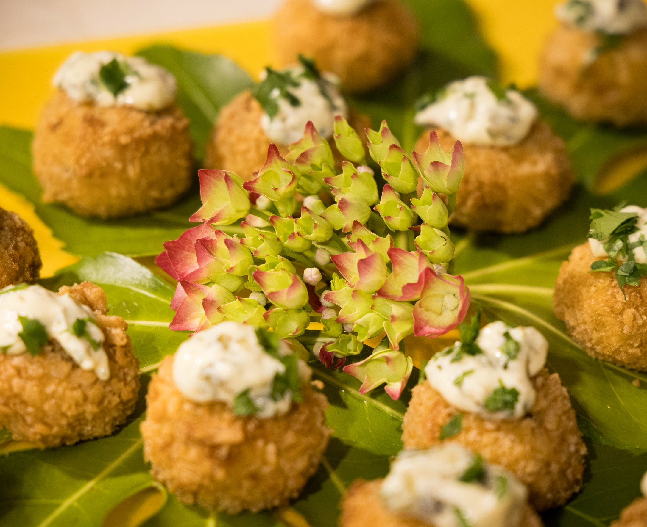 Canapes served at the Summer Social