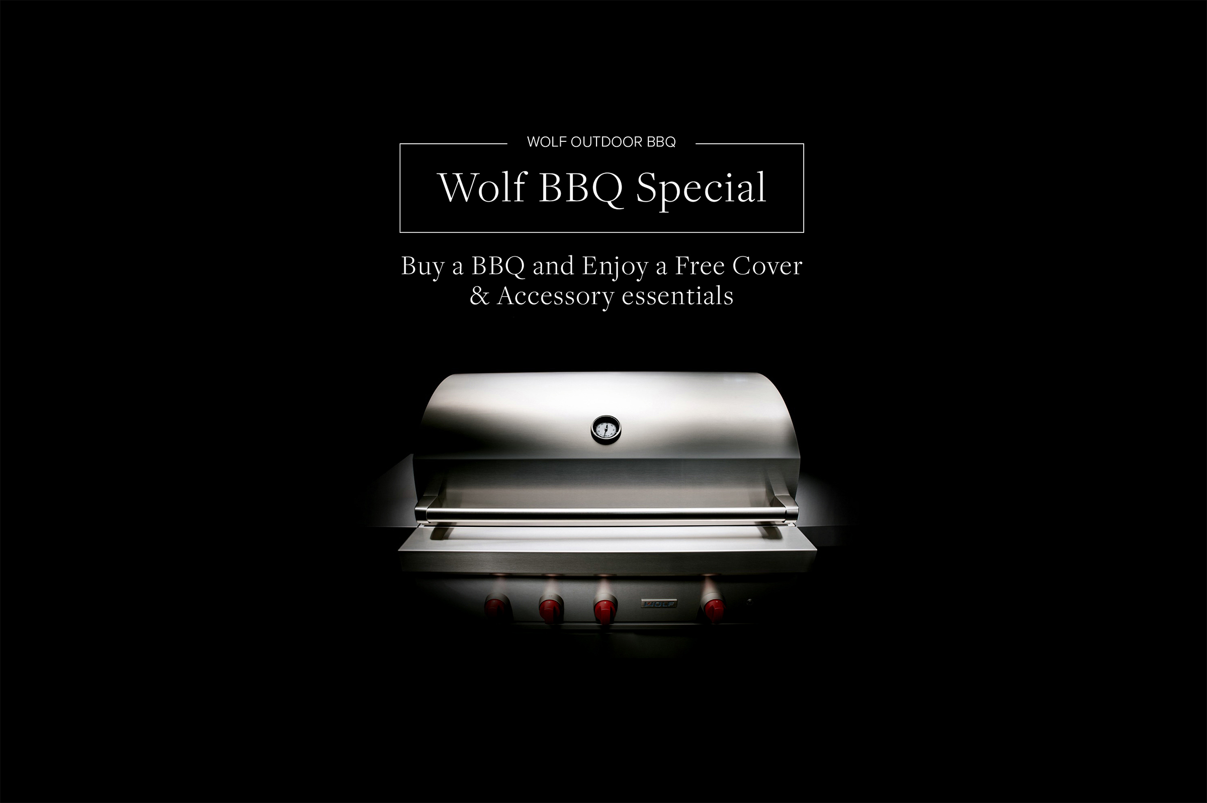 Gas bbq hero promo
