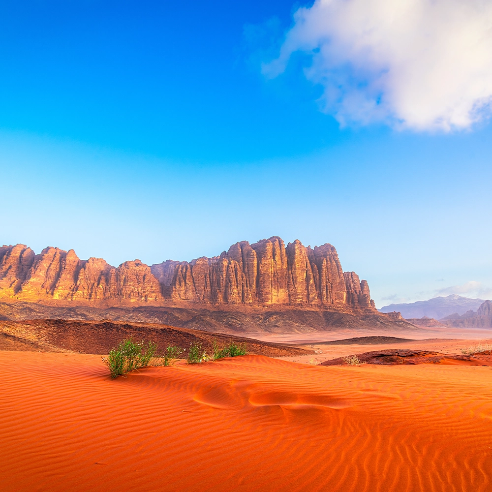 Explore Jordan at Your Own Pace with U-Save Car Rental