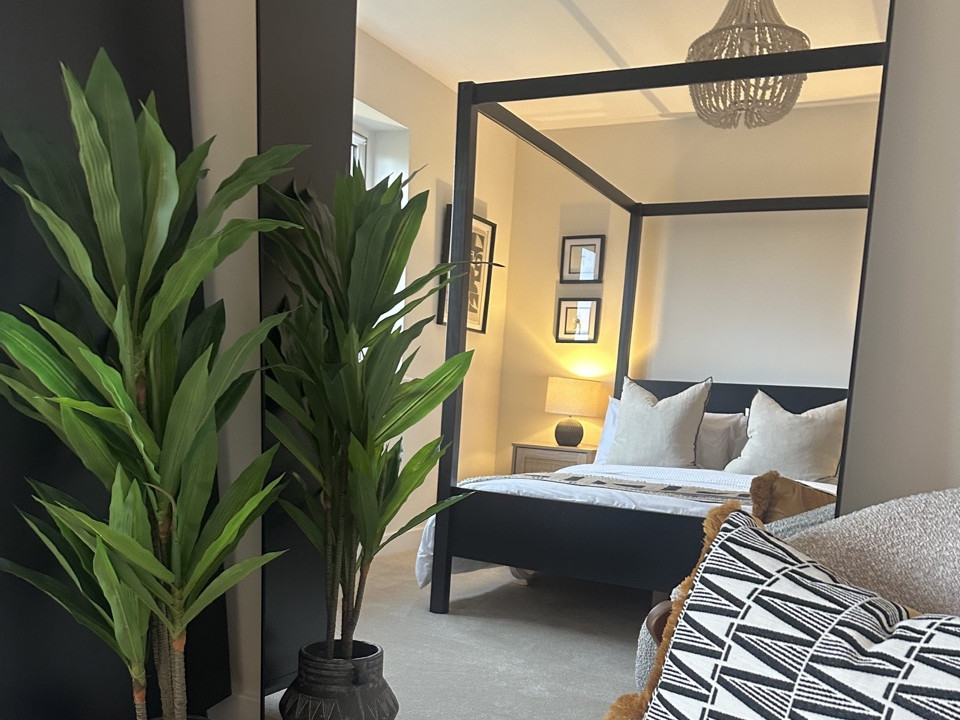 Professionally staged Bedroom in Eastleigh to maximise buyer appeal.jpeg