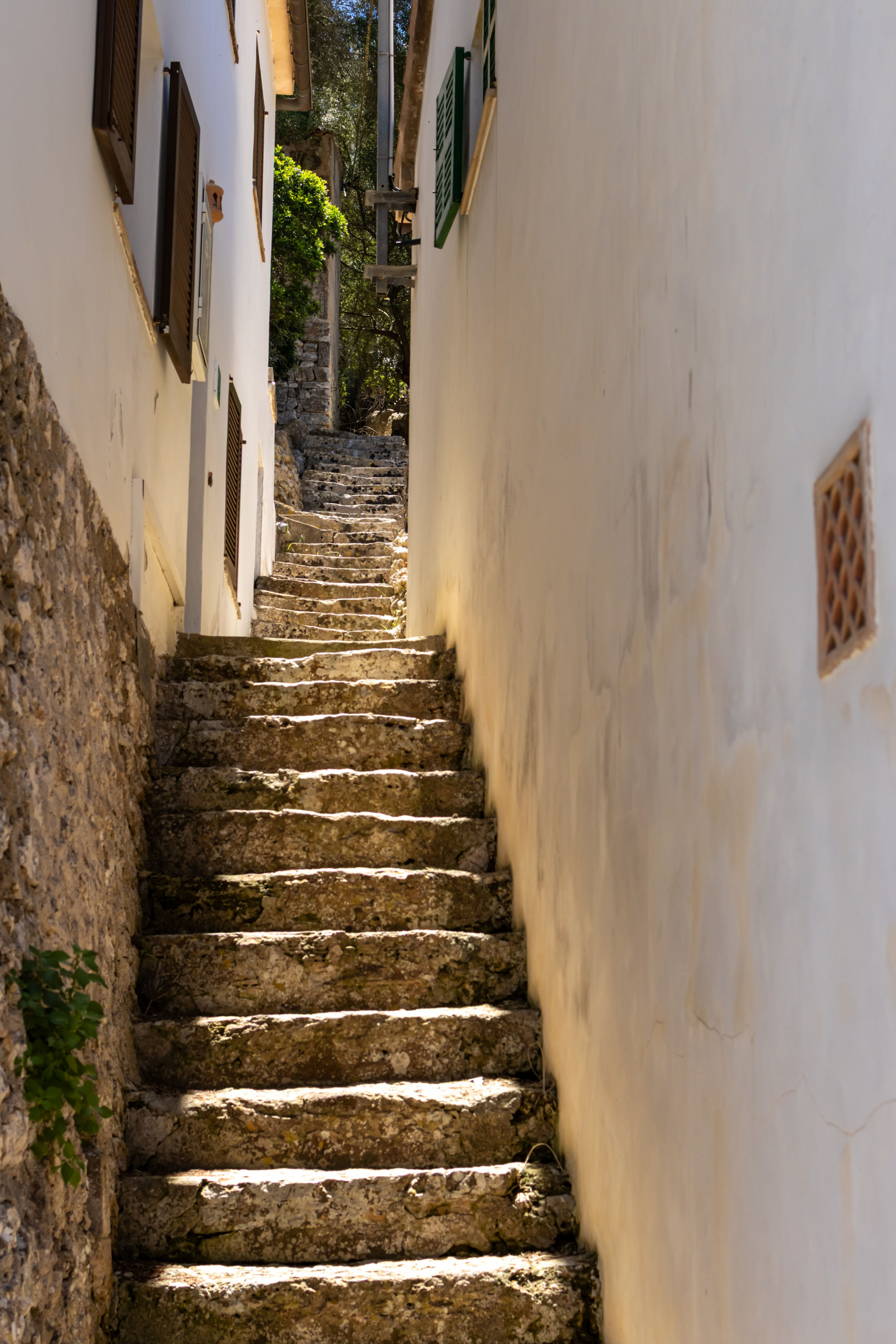 Steps.jpg