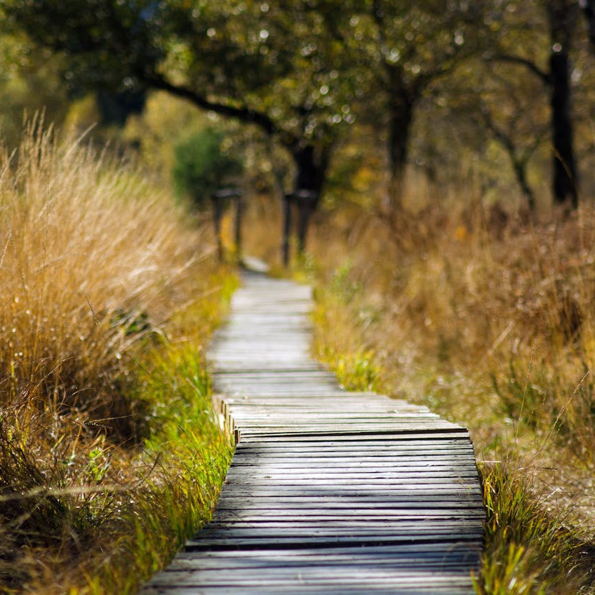 pexels-achim-bongard-87217-289327 (1).jpg pexels-achim-bongard-87217-289327 (1).jpg