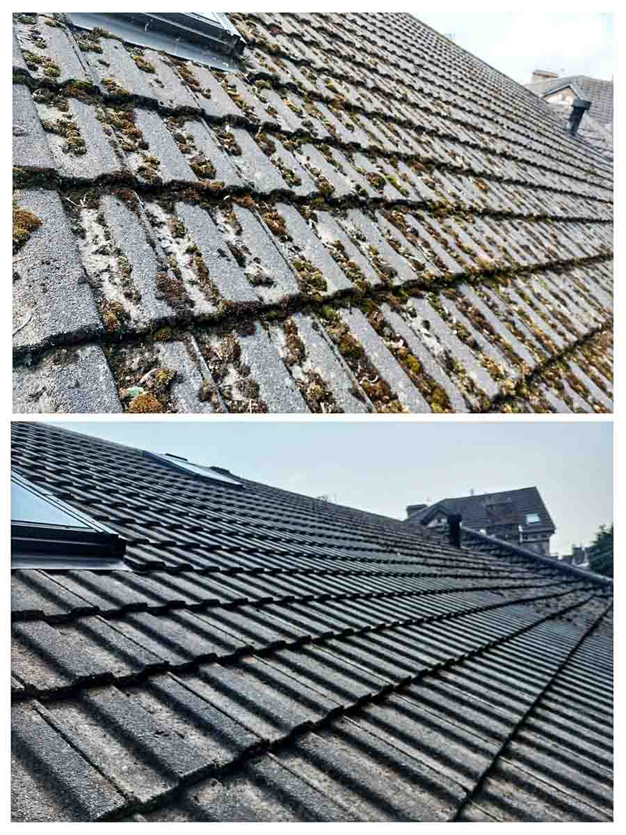 Roof cleaning 02.jpg