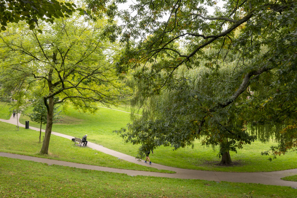 221003_Hedley_web-1836.jpg Hedley & Company Stockbrokers Blackburn