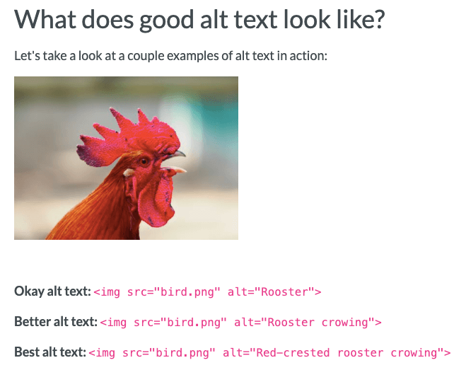 Image-SEO-Moz-Alt-Text-Example.png Image-SEO-Moz-Alt-Text-Example.png