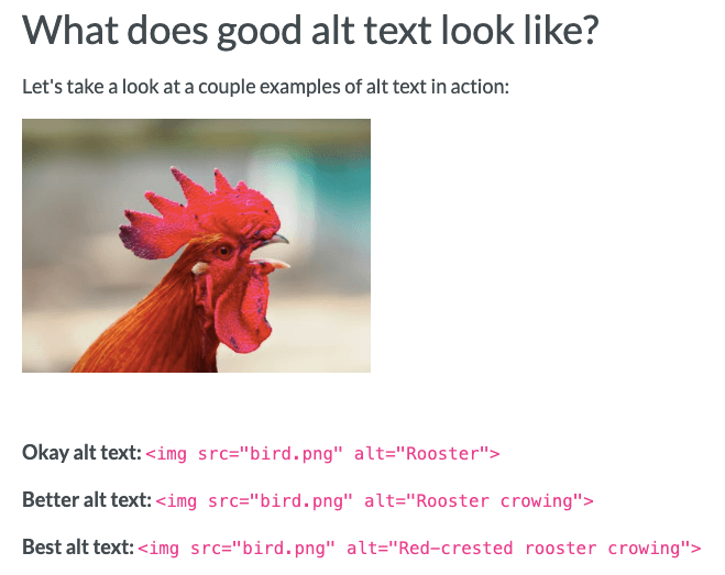 Image-SEO-Moz-Alt-Text-Example.png