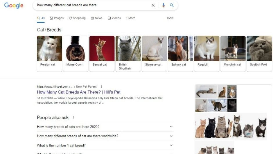 Top_Ten_Tips_For_SEO_In_2022_Image_Three (1).jpg Top_Ten_Tips_For_SEO_In_2022_Image_Three (1).jpg